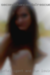 Intelligent and fun-loving swinger meets girl.