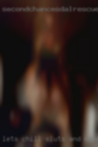 Lets chill sluts and make some things happen from Rochester PA.