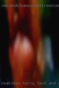 Weakness: horny Tech and Scifi.