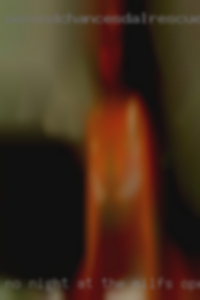 No night at the milfs opera for me.